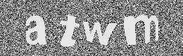 Verification image
