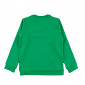 Ватирана блуза "Wild life" в зелено 2