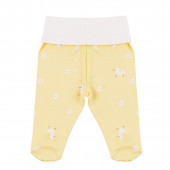 Бебешки памучен комплект в жълто 5