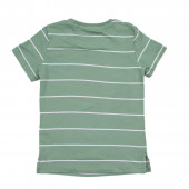 Детска памучна тениска в зелено"Monkey" 2