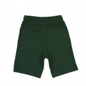 Детски къси панталони в зелено 2