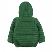 Капитонирано преходно яке в тъмнозелено 2