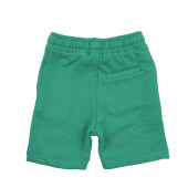 Къси панталони за момчета в зелено 2