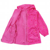 Двулицево шушляково яке в циклама 6