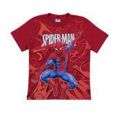 Летен комплект за момчета с анимационен герой 2