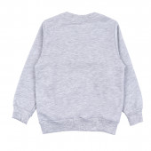 Плътна блуза "The tree bear" в сив меланж 2