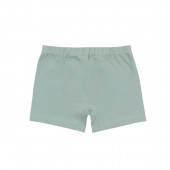 Тройка боксер за момчета ''Championship'' 7