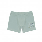 Тройка боксер за момчета ''Championship'' 6