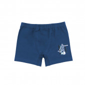 Тройка боксер за момчета ''Championship'' 2