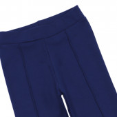 Ватиран клин с ръб в син парламент 3