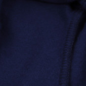 Ватиран клин с ръб в син парламент 4