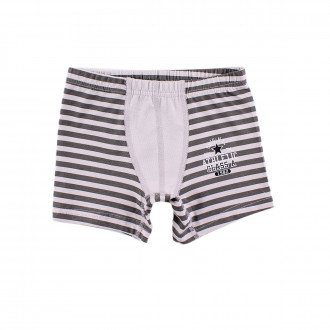 Боксер за момчета в райе "Athletic"