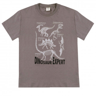 Детска лятна тениска "Dinosaur expert"