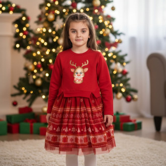 Коледна рокля с щампирана апликация 1