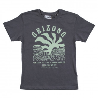 Памучна тениска "Arizona" в сиво 1