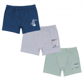 Тройка боксер за момчета ''Championship''