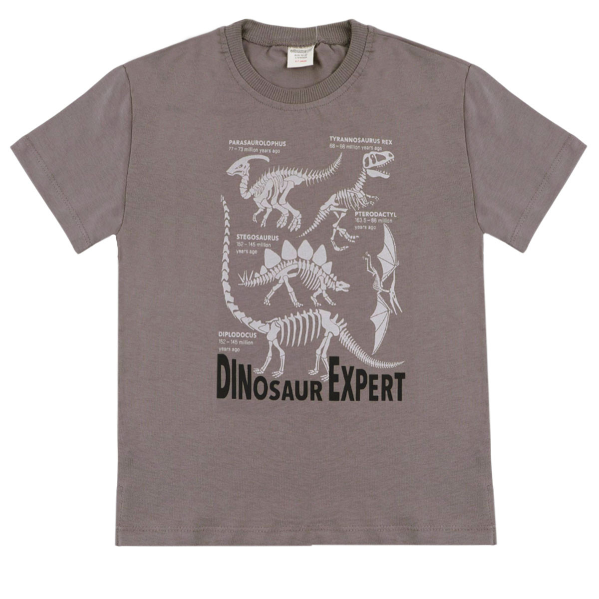 Детска лятна тениска "Dinosaur expert"